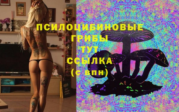 наркотики Белокуриха