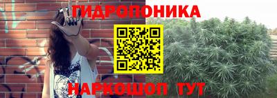 прущие грибы Ипатово
