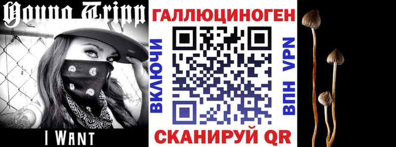Псилоцибиновые грибы Psilocybe  Кунгур 