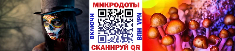 Псилоцибиновые грибы ЛСД Кунгур